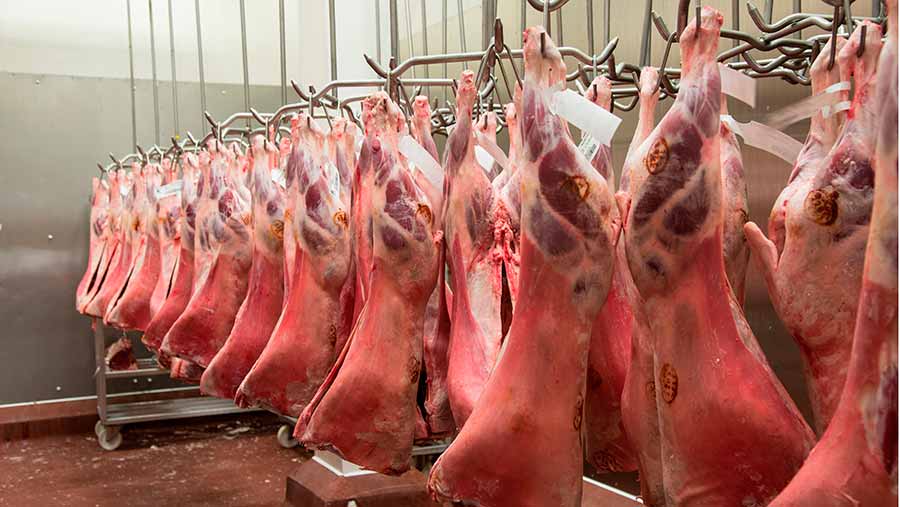 Producer share of retail lamb price falls further - Farmers Weekly