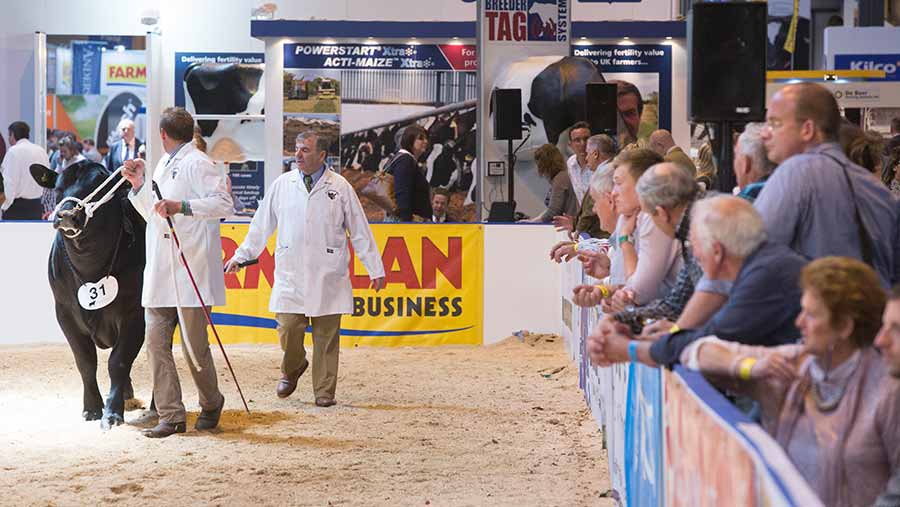 Show ring at the 2015 Livestock Event © Tim Scrivener