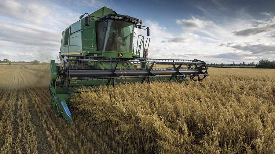 Researchers to develop mycotoxin resistance in oats - Farmers Weekly
