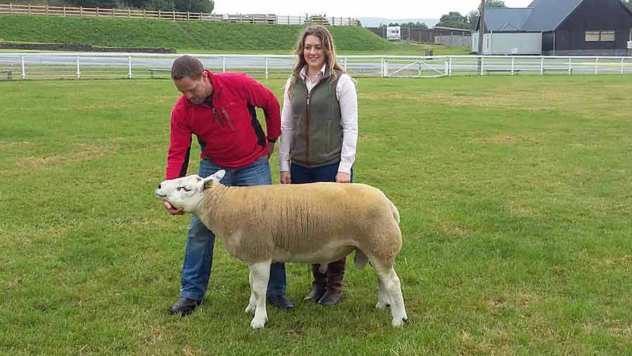 Top-priced ram at 3,350gns was a Texel shearling