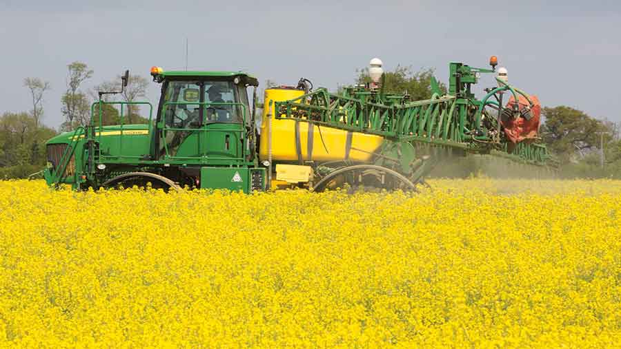 Future of oilseed rape at risk amid pesticide threat - Farmers Weekly