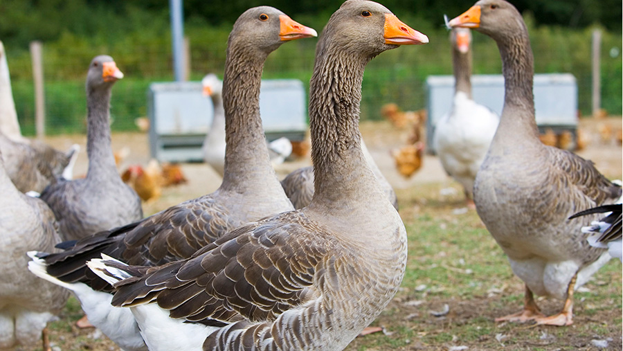 © Tim Graham/Robert Harding/REX/Shutterstock