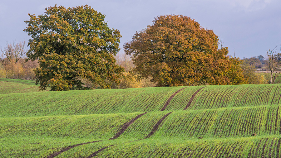 © FLPA/John Eveson/REX/Shutterstock