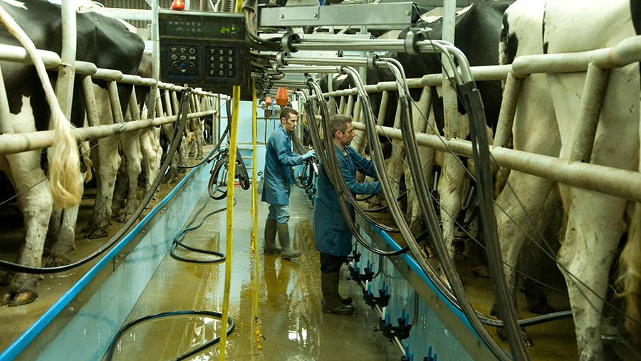 RABDF survey aims to assess post-Brexit dairy labour crisis - Farmers ...