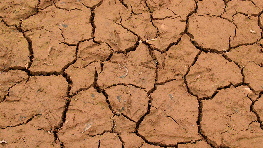 © Roger Hosking/FLPA/imageBROKER/REX/Shutterstock