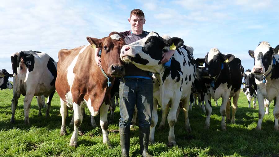 Straw Diets for Suckler Cows - check your ration!, Helping farmers in  Scotland