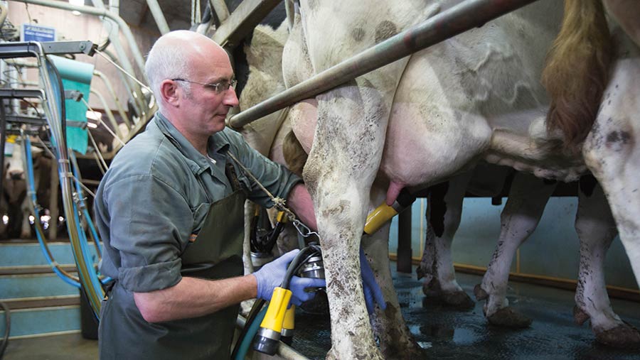 Best practice on improving your milking routine to lift yields ...