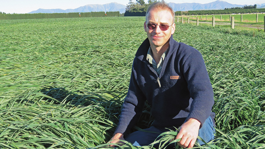 Farmer Focus: New Zealand crops need sunshine as harvest nears ...