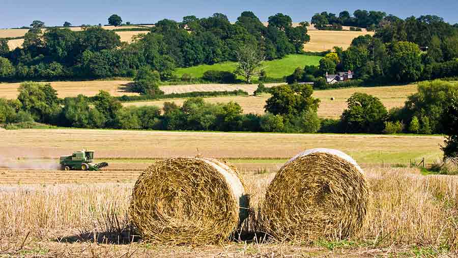 © Tim Graham / Robert Harding/REX/Shutterstock