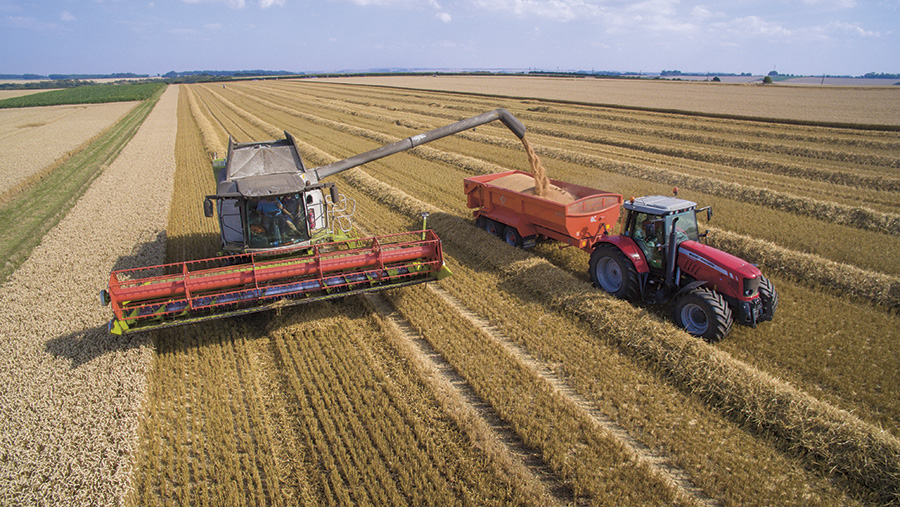 Northern wheat growers come out top in cereal yield competition - Farmers Weekly