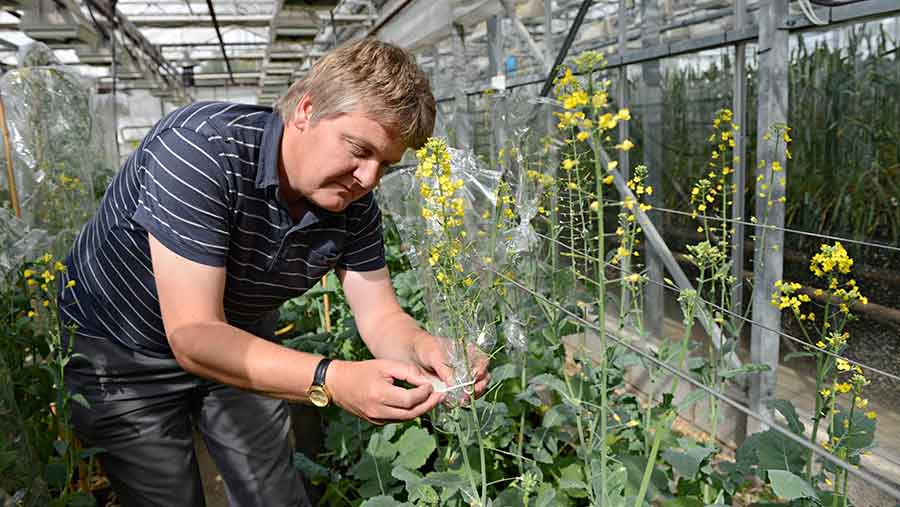 Job What it's to be plant breeder - Farmers Weekly