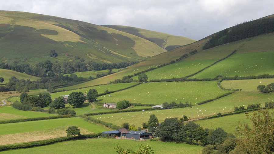 Welsh farmland market perks up after tough time last year ...