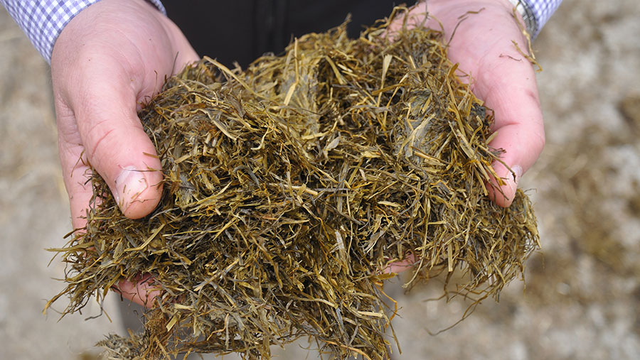 Surveys have show that livestock farmers might not be making the most of home-grown silage