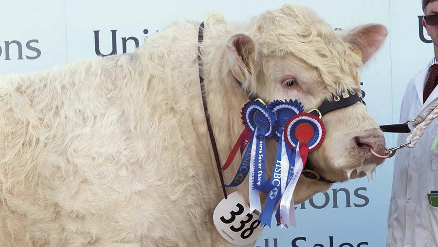 Taking Stock Charolais bull trade peaks at 25,000gns Farmers Weekly