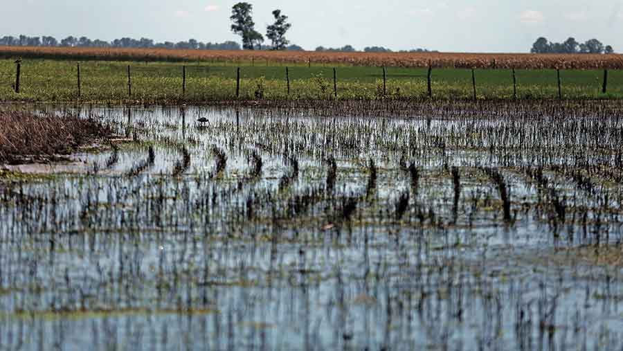 © Marcos/Brindicci/Reuters