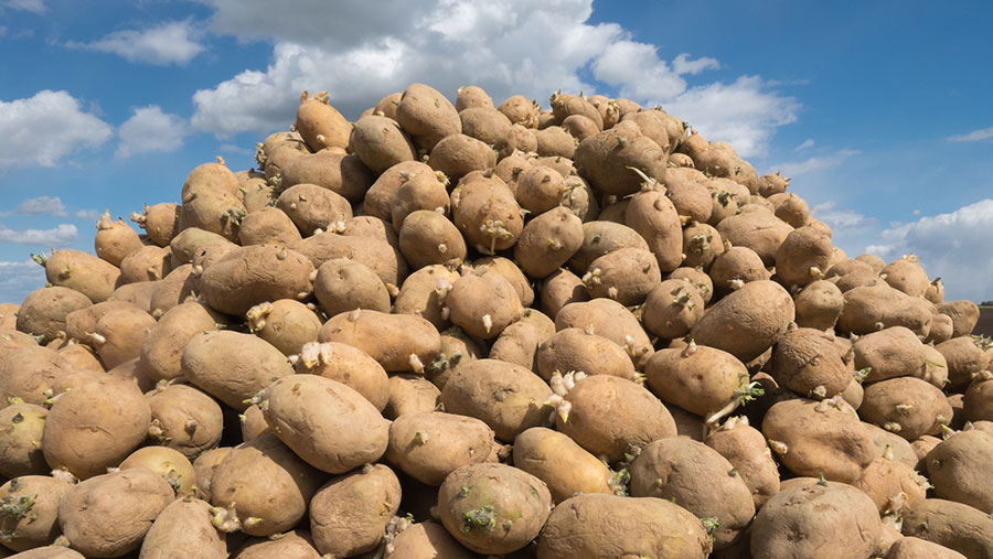 Fresh demo farm for potato growers in the West - Farmers Weekly