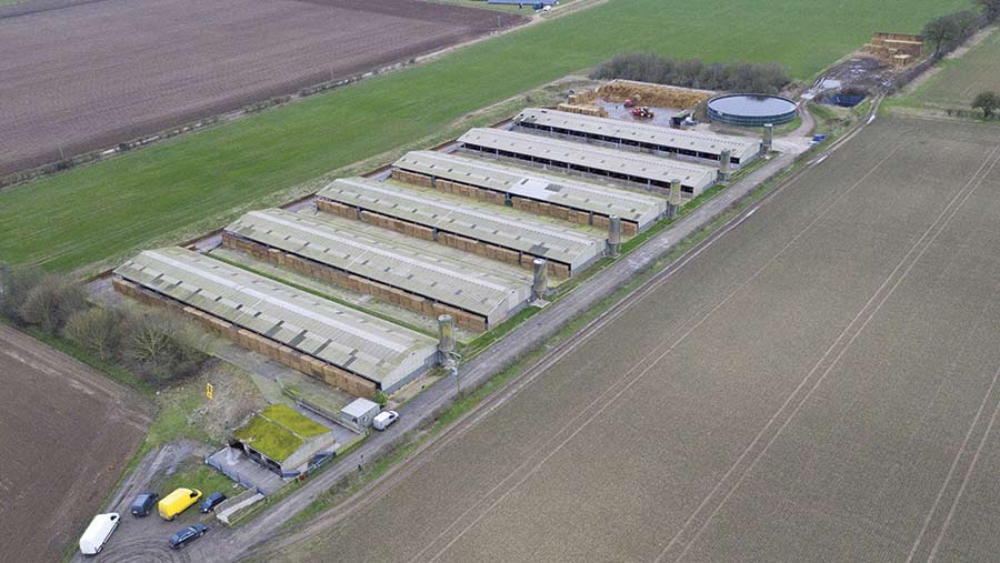 £5.85m Norfolk farm for 30,000 pigs to be sold Farmers Weekly