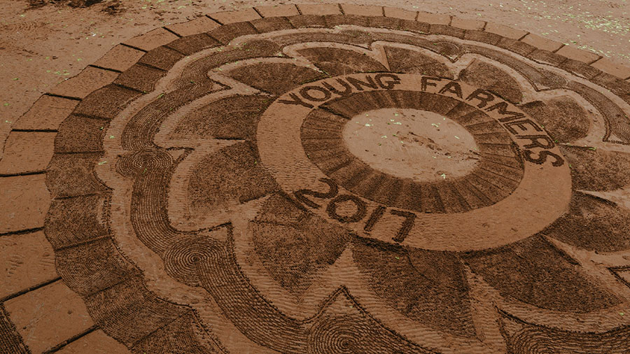 YFC: Torquay 2017 © Colin Miller