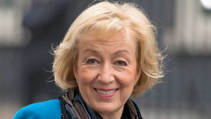 Andrea Leadsom © Alan Davidson/SilverHub/REX/Shutterstock