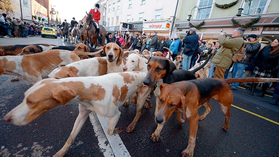 Members of the Essex Farmer and Union Hunt 
 © Martin Dalton/REX/Shutterstock