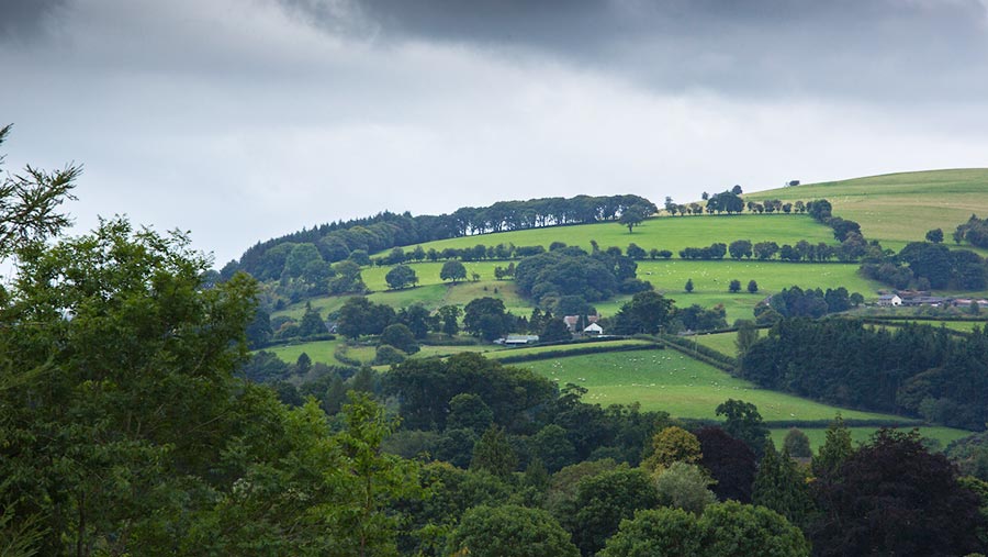 Welsh farmland © Tim Scrivener