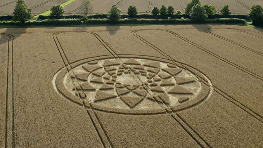 Farmers tell FW of stress and anguish over unwanted crop circle ... Famous Crop Circle