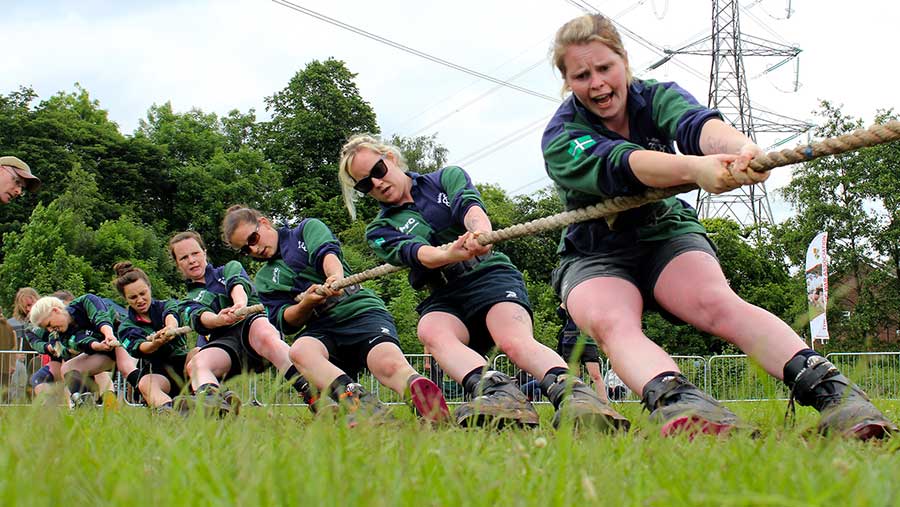 Tug of shop war sport