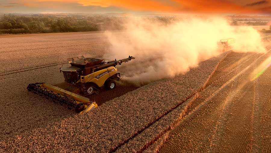 Stuart Ryman cutting Skyfall winter wheat in Wall, Lichfield, Staffordshire © Graham Knight