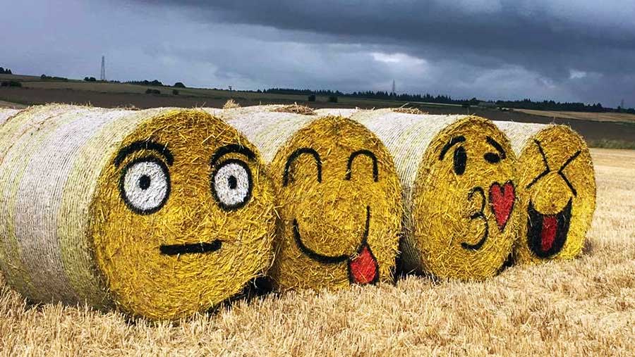Farmer turns round bales into amazing giant emojis Farmers Weekly