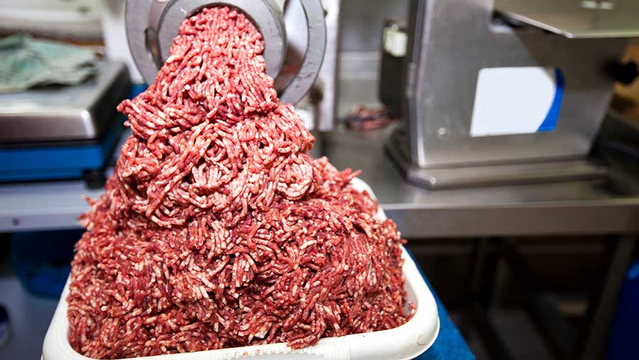 © Mood Board/REX/Shutterstock