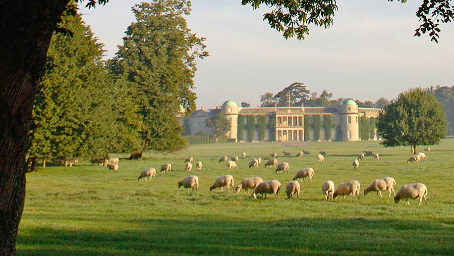 Goodwood Estate reaps soil benefits of switch to organic Farmers Weekly