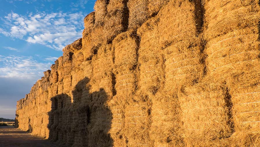 Producers warned over straw feed - Farmers Weekly