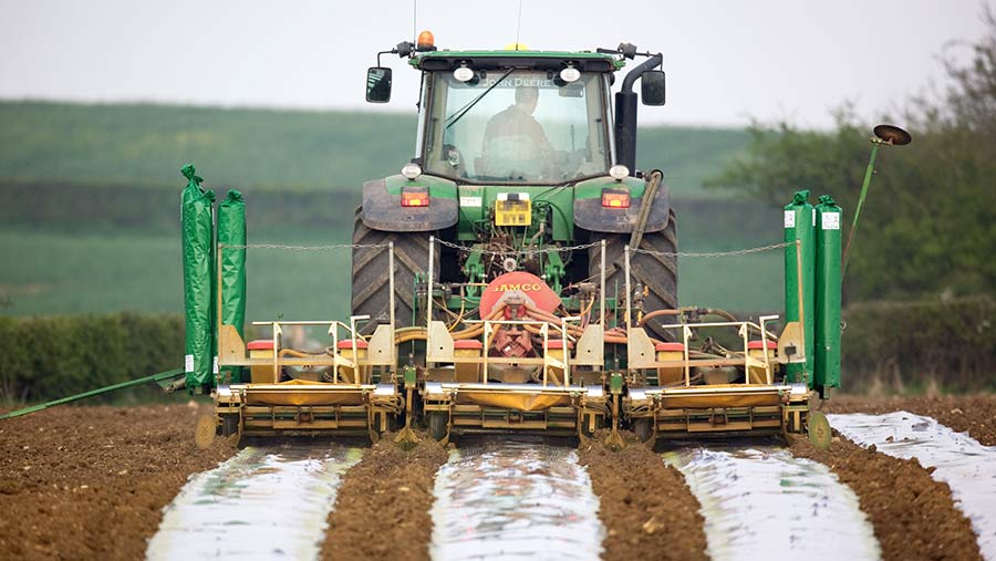 Maize Roughage How to give maize the best possible start - Farmers Weekly