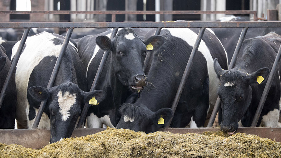 First Milk holds December milk price - Farmers Weekly