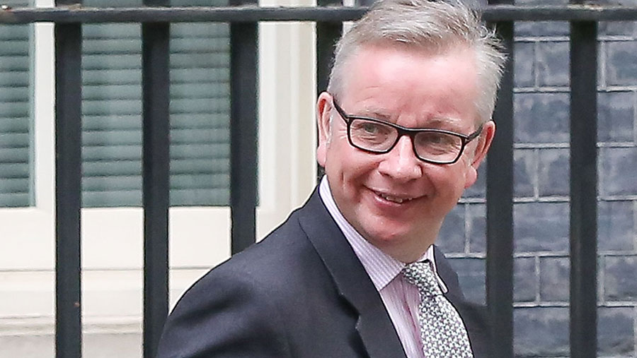 © Dinendra Haria/Rex/Shutterstock