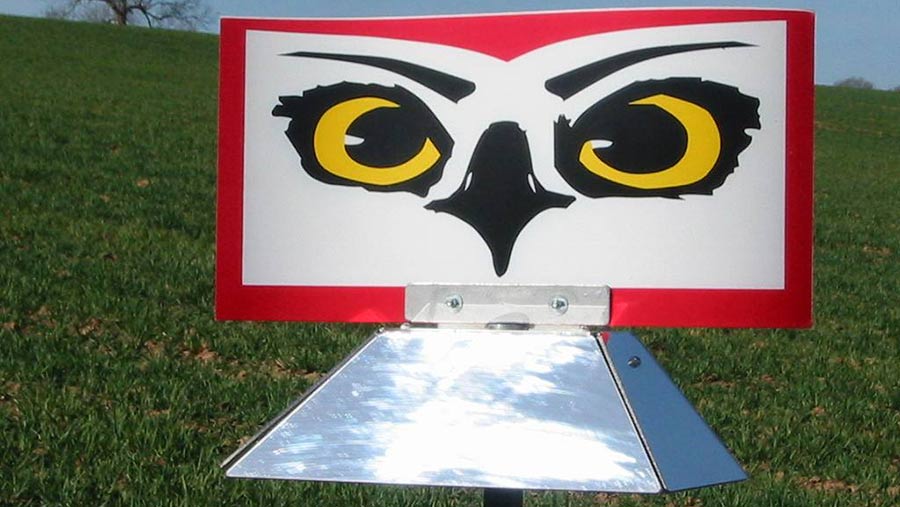 A guide to effective bird scaring kits for farmers Farmers Weekly