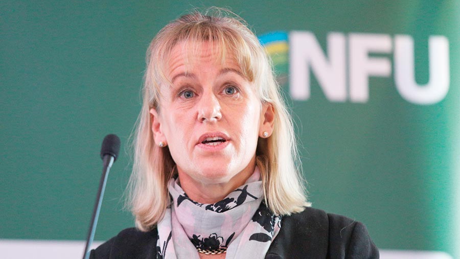 Minette Batters, selected as first female president in the NFU's 109-year history © Ian Hinchliff/REX/Shutterstock