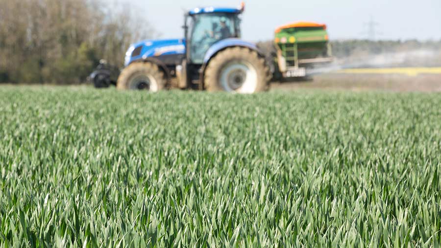 protein scale  Colorado Wheat