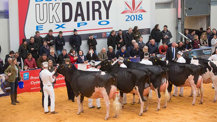 Pictures and results 2018 UK Dairy Expo Farmers Weekly