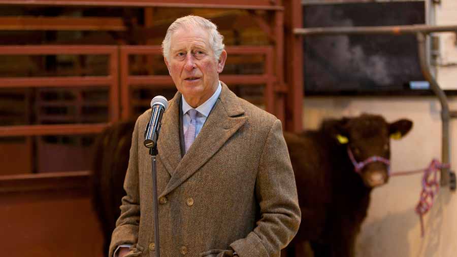 Prince Charles at Louth market