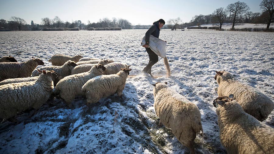 © Peter MacDiarmid /REX /Shutterstock