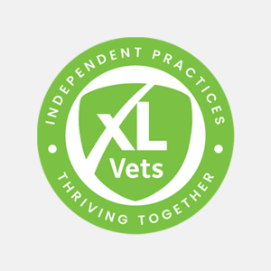 XLVets logo