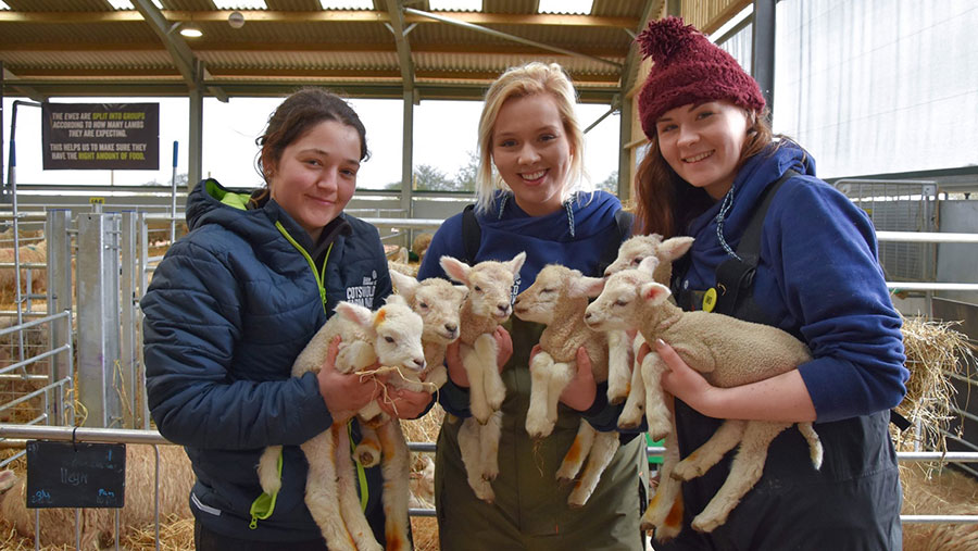 Ewe has six lambs on Countryfile presenter’s farm - Farmers Weekly