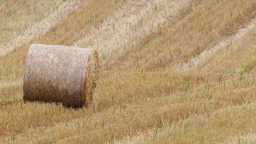 © FLPA/Phil McLean/REX/Shutterstock