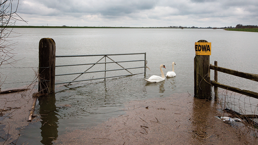 Flooding in Cambridgeshire. © Geoff Robinson / REX Shutterstock