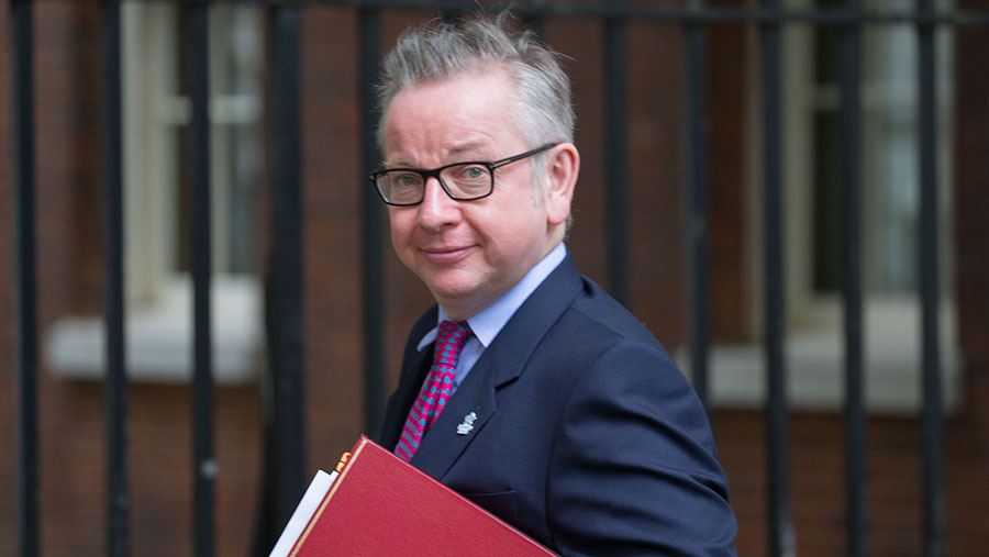 Michael Gove © Mark Thomas/REX/Shutterstock