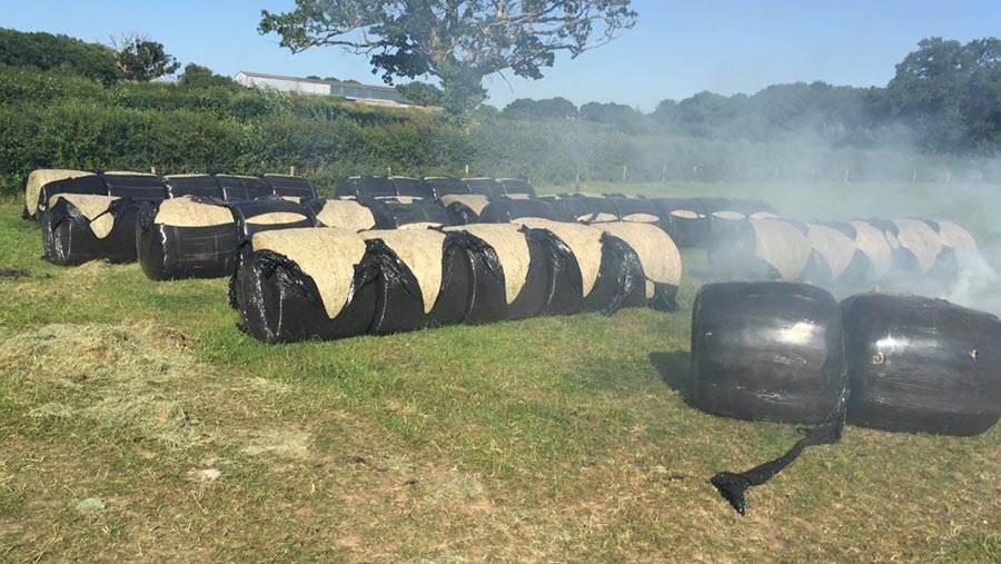 Hay bales slashed open on Matthew Senior's farm