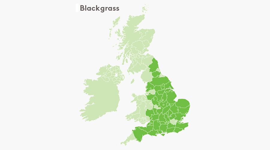 Blackgrass map