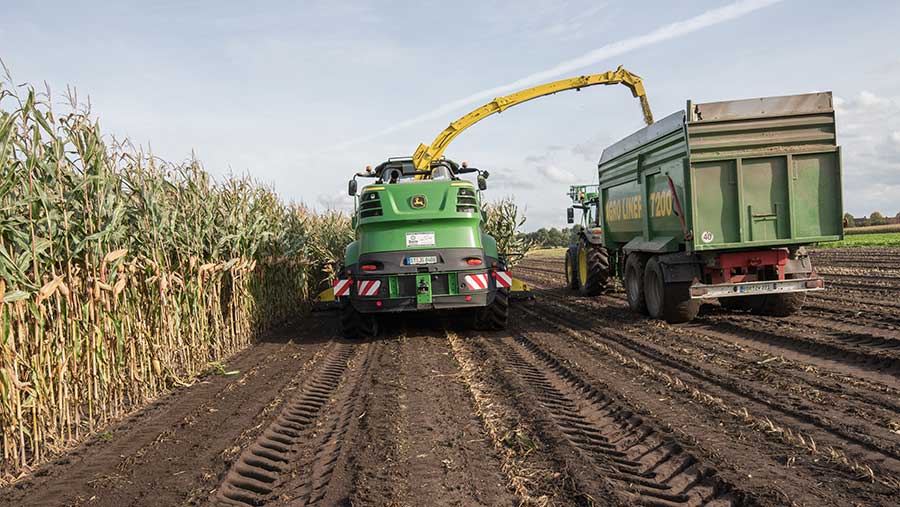 Maize header leaving bare soil behind it