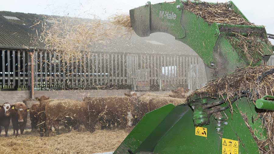 6 alternative bedding options to straw compared - Farmers Weekly